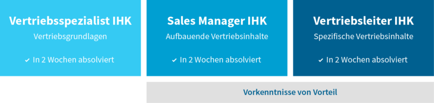 Karriereschaubild_Vertrieb